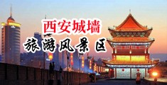 后入美鲍中国陕西-西安城墙旅游风景区